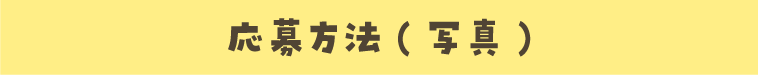 応募方法(写真)